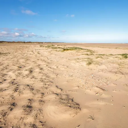 1er * Oye-Plage